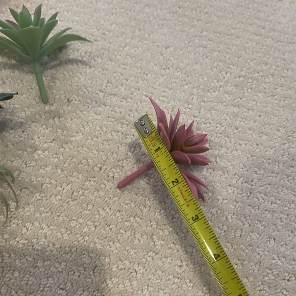 Faux succulents - Picture 5 of 6